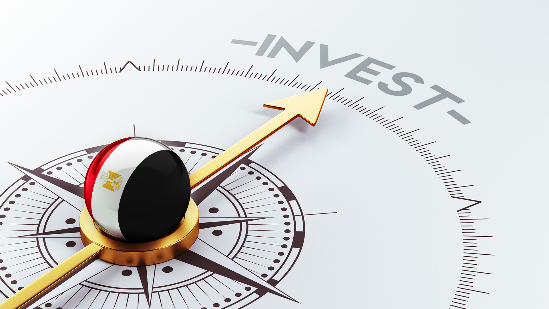 12 Point Checklist To Change or Appoint An Investment Advisor